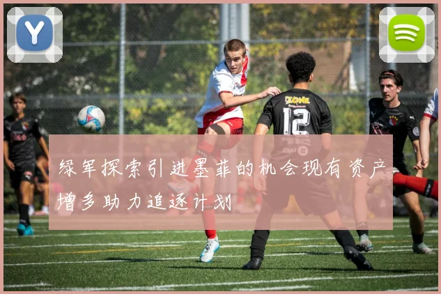 绿军探索引进墨菲的机会现有资产增多助力追逐计划