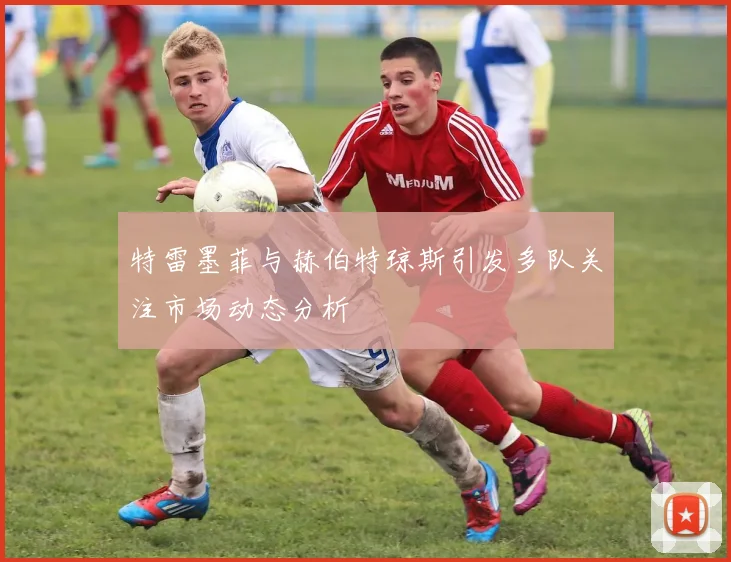 特雷墨菲与赫伯特琼斯引发多队关注市场动态分析