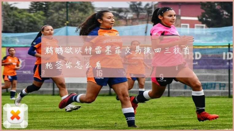 鹈鹕欲以特雷墨菲交易换回三枚首轮签你怎么看